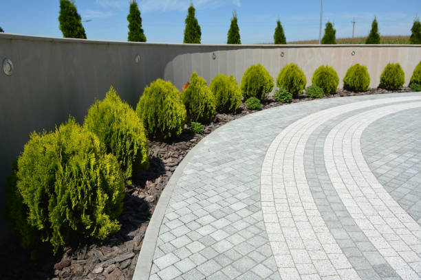 Reasons to Select Us for Your Driveway Paving Requirements in San Marino, CA